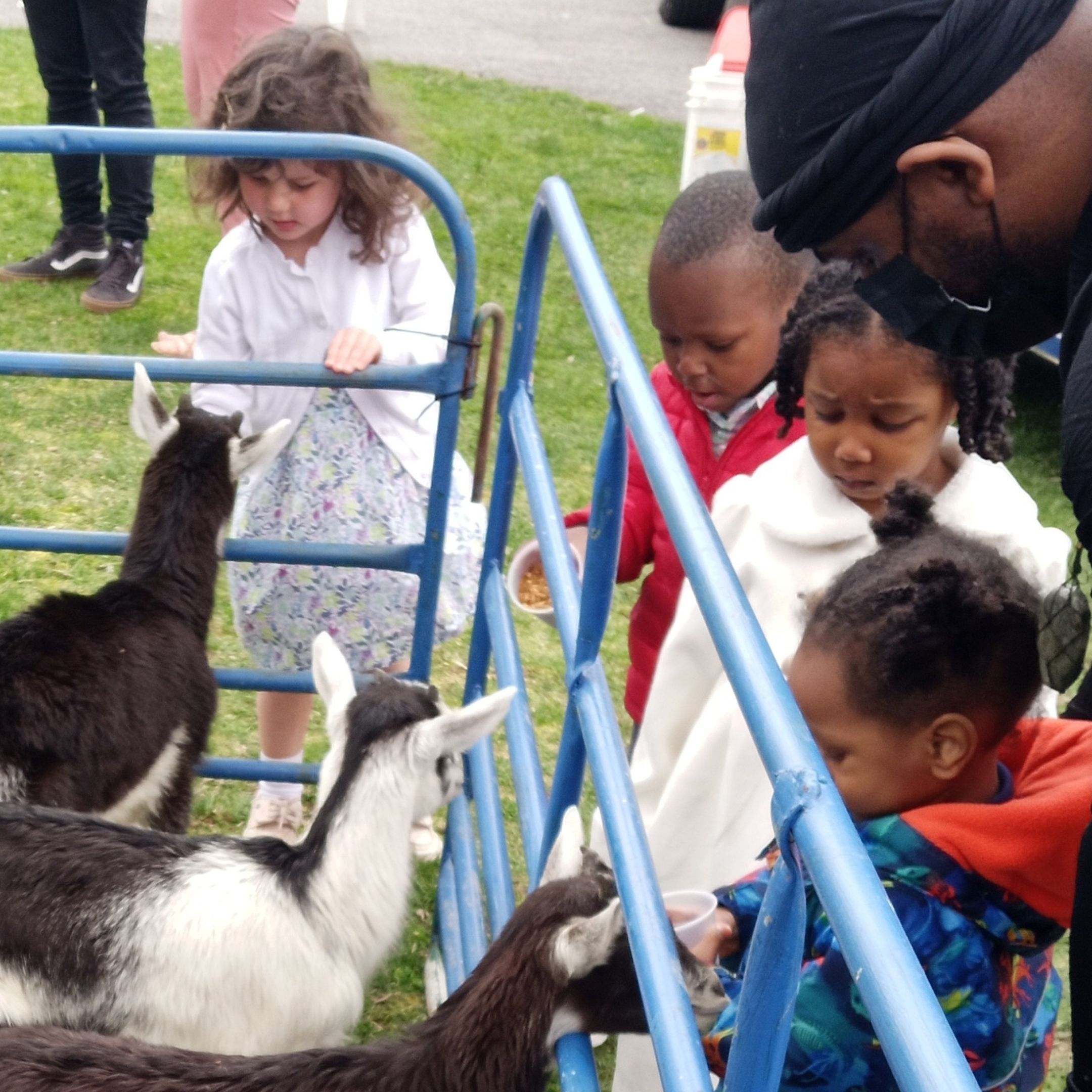 Kids petting goats at Easter petting zoo